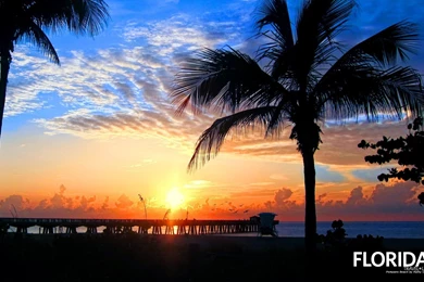 Florida Wallpapers » WallDevil   Best Free HD Desktop And Mobile ...