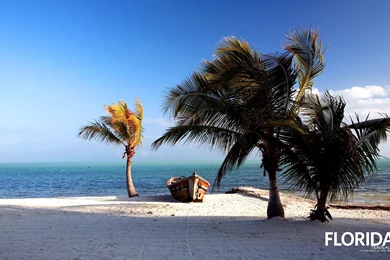 Free Florida Wallpapers