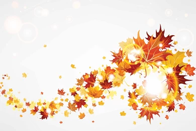 5627_Autumn leaves in an abstract setting.jpg