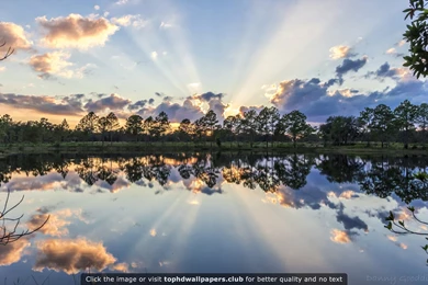 Best Florida Wallpapers For Your PC, Mac Or Mobile Device