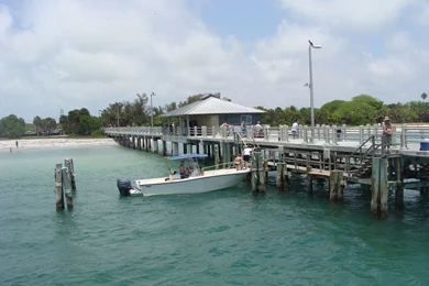 Florida Wallpapers   Backgrounds For Desktops, Phones, Twitter And ...