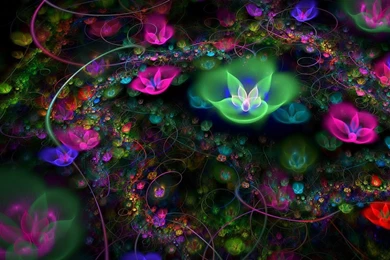 Page 11: Full HD 1080p Fractal Wallpapers HD, Desktop Backgrounds ...