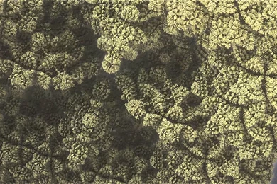 High Definition Fractal   1080p   YouTube