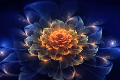 Download Wallpapers 1920x1080 Fractal, Flower, Light, Dark Full HD ...