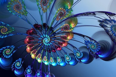 Fractal 6   Intl. Starseed Network