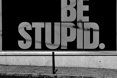 Be Stupid   Flikie Wallpapers