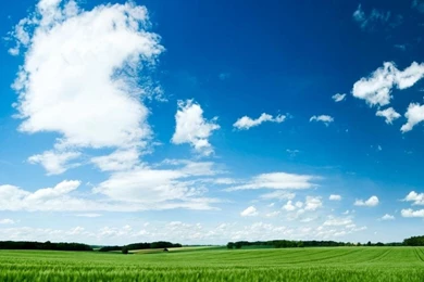 Blue Wallpapers Hd For Android