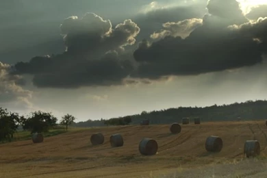 HD: Apple iPhone 5 Nature Wallpapers HD