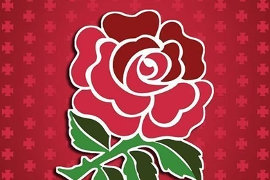 England Rugby Union 2015