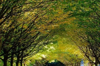 Autumn, Anglesey Abbey, Cambridgeshire, England HD Desktop ...