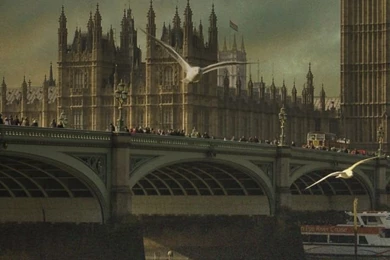 Birds Wallpapers For iPhone 5