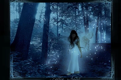 Fallen Angel Wallpapers Pictures Photos Images