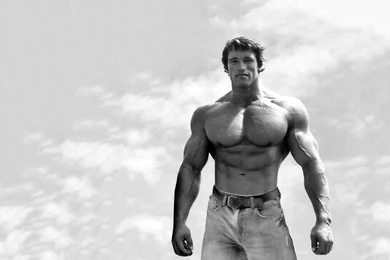 99 Arnold Schwarzenegger HD Wallpapers