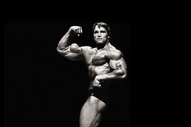 Fonds D'écran Arnold Schwarzenegger : Tous Les Wallpapers Arnold ...