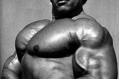 HD Best Desktop Wallpapers: Arnold Schwarzenegger Wallpapers