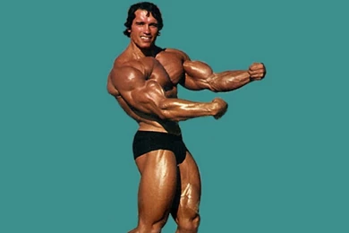 Kane Blog Picz: Arnold Schwarzenegger Wallpapers 1280