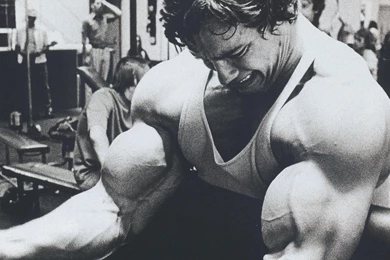 Arnold Schwarzenegger Wallpaper Muscle.jpg