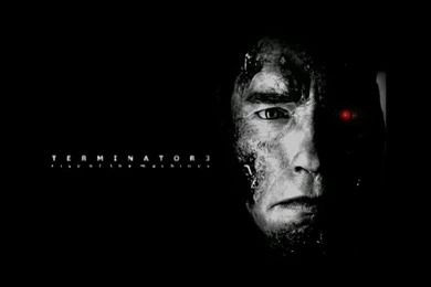 Arnold Schwarenegger Wallpapers   Arnold Schwarzenegger Wallpapers ...