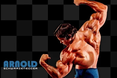 Download Bodybuilding Arnold Px Arnold Schwarzenegger Wallpapers ...