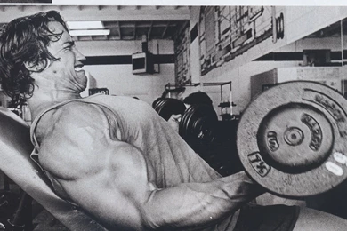 6 Secrets To Success By Arnold Schwarzenegger