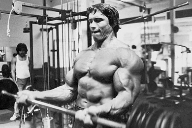 Thumbs Arnold 2005 Arnold Schwarzenegger, Biography, Pictures And ...