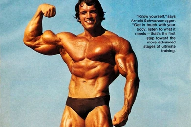 Wallpapers Cheerleading Arnold Schwarzenegger Sports Page 1024x768 ...