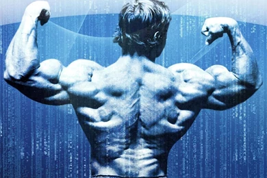 Download Free HD Wallpapers : Arnold Schwarzenegger Conquer ...