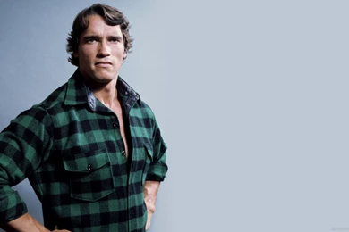 Arnold Computer Wallpapers, Desktop Backgrounds