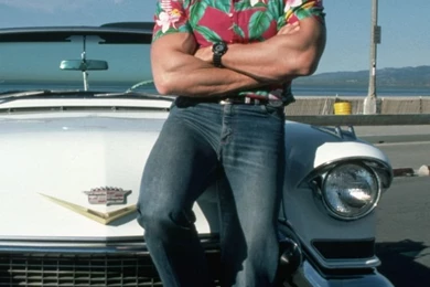 Download Wallpapers 750x1334 Arnold Schwarzenegger, Young, Cars ...