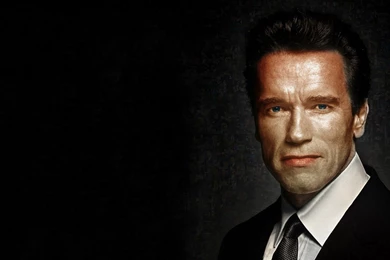 The Embodiment Of The American Dream, Arnold Schwarzenegger ...