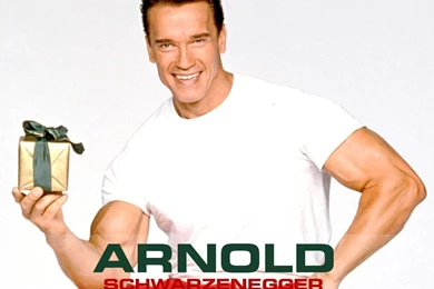Arnold Schwarzenegger Wallpapers
