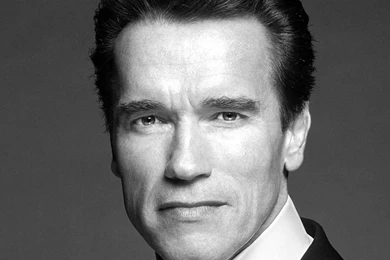 Arnold Schwarzenegger Wallpapers @ Go4Celebrity.com