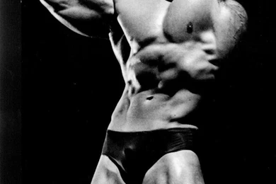 Arnold schwarzenegger wallpaper hd bodybuilding 62ab3ce23f9884db423ce886eb945289 large 27901.jpg