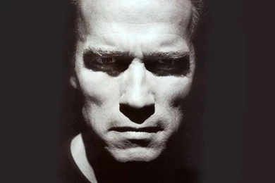 Arnold Schwarzenegger Desktop Wallpapers FREE On Latoro.com