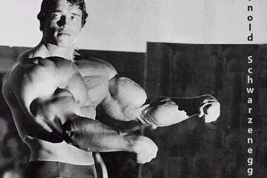 Arnold Schwarzenegger Bodybuilding Wallpapers Posters And Pictures ...