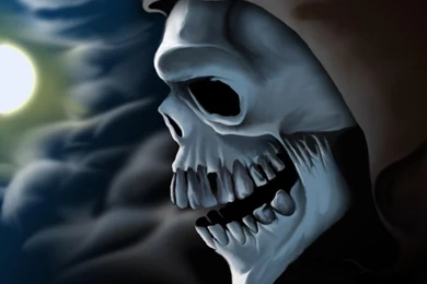 Free Skull Wallpapers   Desktop Backgrounds