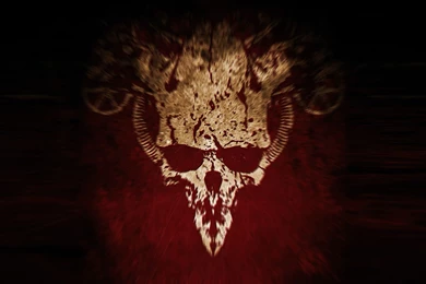 Deadly Skull Desktop Backgrounds HD 1920x1200