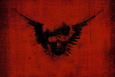 Skull Backgrounds Wallpapers   168231