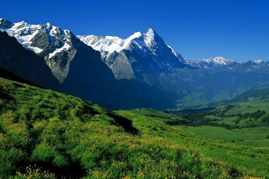 Amazing Relaxing Green Nature Laptop Backgrounds