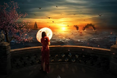 Cool Wallpapers Free Obtain PC   HD Images New