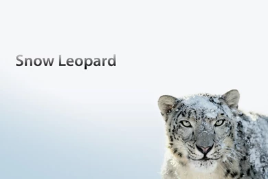 Apple Desktop Wallpapers