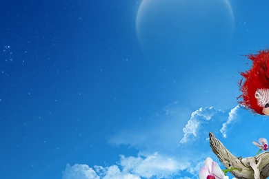 Download Wallpapers 3840x1200 Parrot, Colorful, Feathers, Thread ...