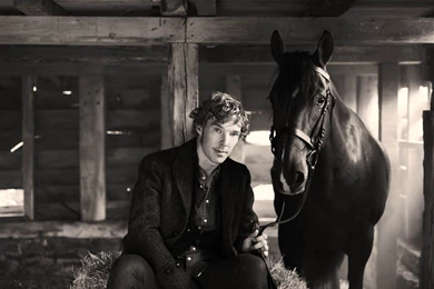 37 Benedict Cumberbatch HD Wallpapers