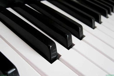 Piano Keys» Wallpaper's Collection