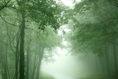 Nature Wallpapers Hd For Mobile   TechnoRepublica