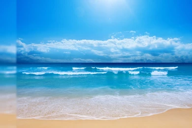 Free Summer Wallpapers