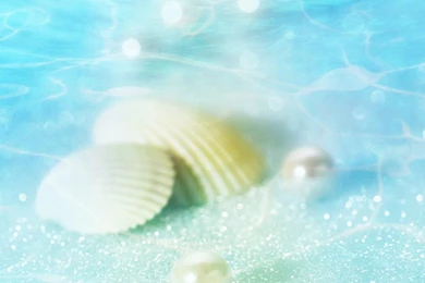 Free Wallpapers   Free Nature Wallpapers   Cg Seasons Spring Summer ...