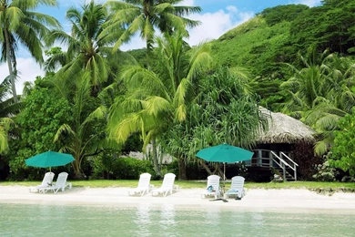 Summer Beach Wallpapers