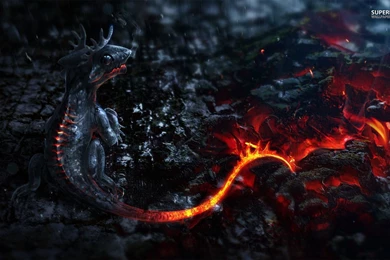 Lava Dragon Wallpapers   Fantasy Wallpapers