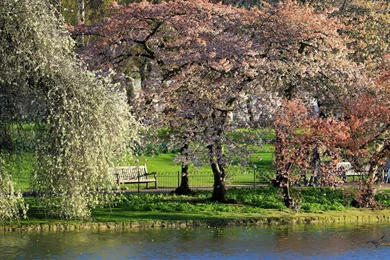 Spring Wallpapers 1920X1080   1429993